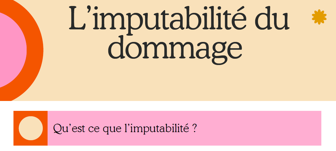 L’IMPUTABILITÉ DU DOMMAGE SUBI PAR LES VICTIME – CABINET MOLTENI
